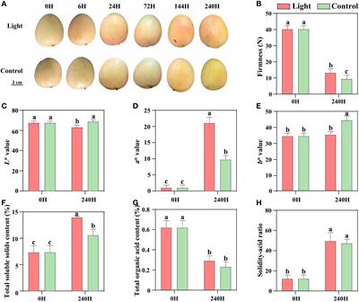 Postharvest light-induced flavonoids accumulation in mango (Mangifera indica L.) peel is associated with the up-regulation of flavonoids-related and light signal pathway genes